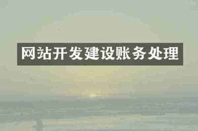 网站开发建设账务处理