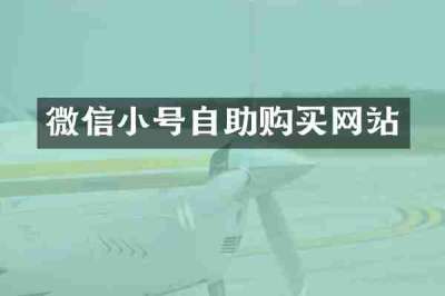 微信小号自助购买网站