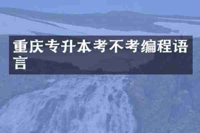 重庆专升本考不考编程语言