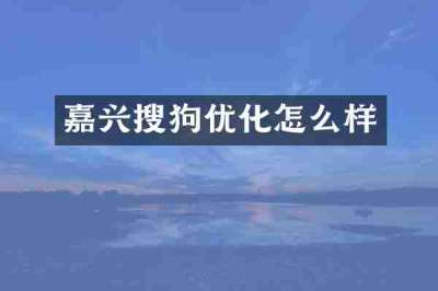 嘉兴搜狗优化怎么样
