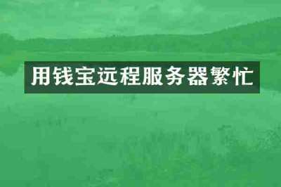 用钱宝远程服务器繁忙