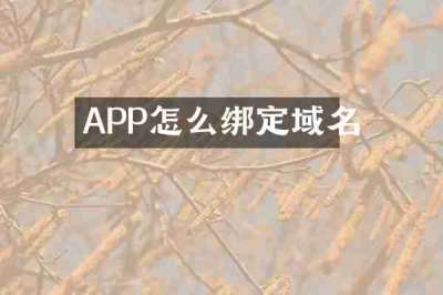 APP怎么绑定域名