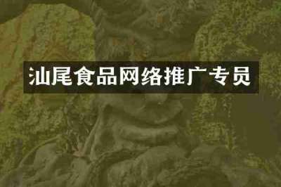 汕尾食品网络推广专员