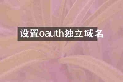 设置oauth独立域名