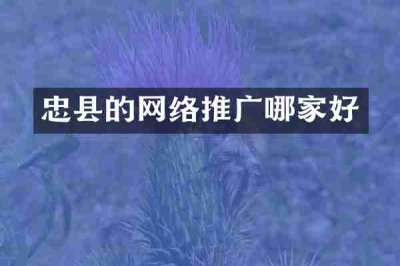 忠县的网络推广哪家好