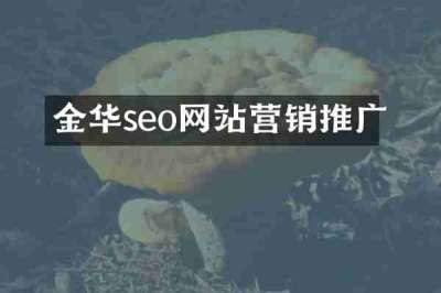 金华seo网站营销推广
