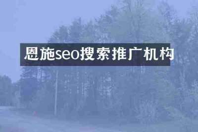 恩施seo搜索推广机构