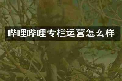 哔哩哔哩专栏运营怎么样