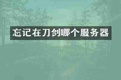 忘记在刀剑哪个服务器