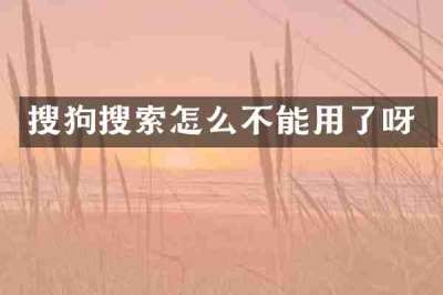 搜狗搜索怎么不能用了呀
