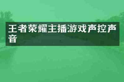 王者荣耀主播游戏声控声音