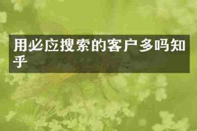 用必应搜索的客户多吗知乎