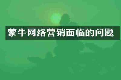 蒙牛网络营销面临的问题