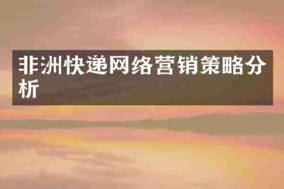 非洲快递网络营销策略分析