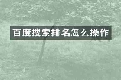 百度搜索排名怎么操作