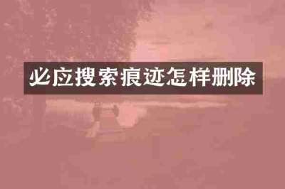 必应搜索痕迹怎样删除