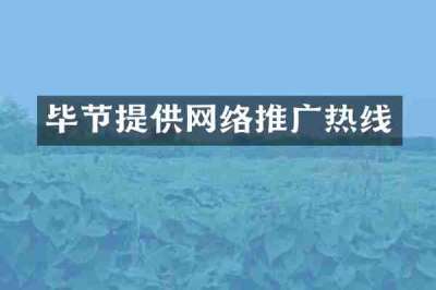 毕节提供网络推广热线