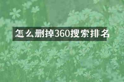 怎么删掉360搜索排名