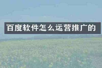 百度软件怎么运营推广的