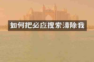 如何把必应搜索清除我