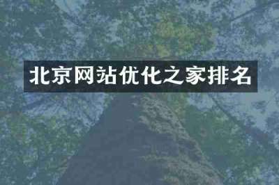 北京网站优化之家排名