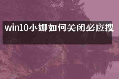 win10小娜如何关闭必应搜索