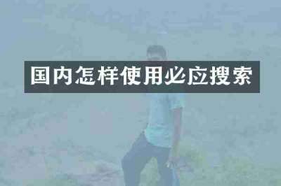 国内怎样使用必应搜索