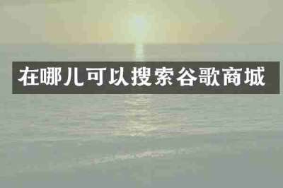 在哪儿可以搜索谷歌商城
