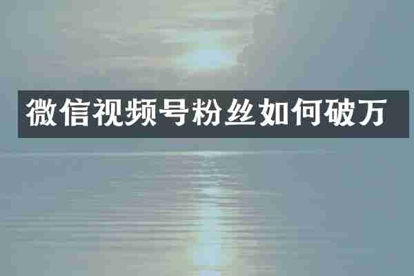 微信视频号粉丝如何破万