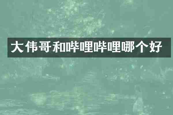 大伟哥和哔哩哔哩哪个好