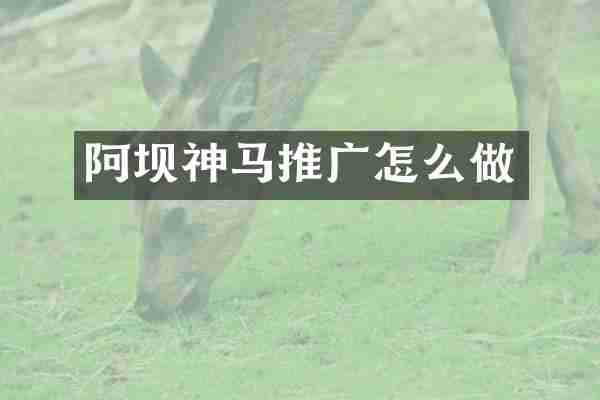 阿坝神马推广怎么做