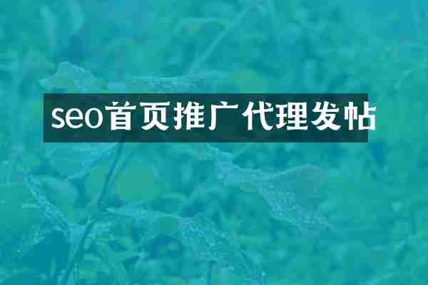 seo首页推广代理发帖