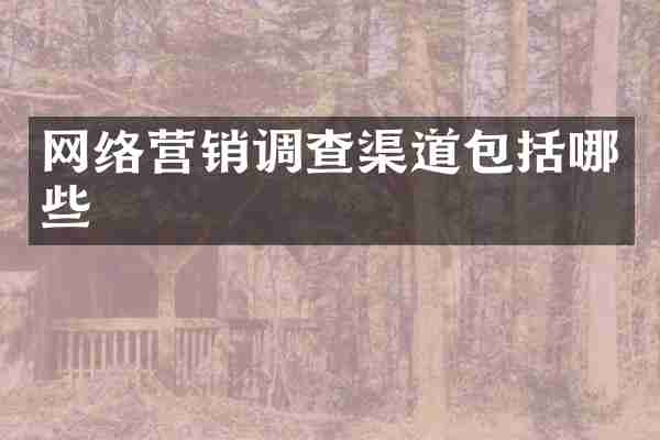 网络营销调查渠道包括哪些