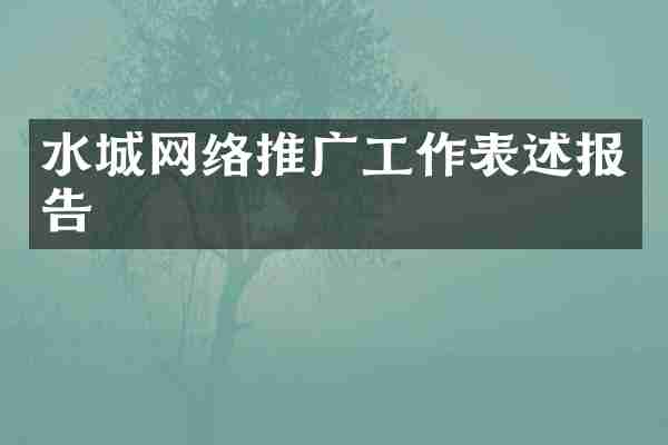 水城网络推广工作表述报告