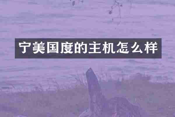 宁美国度的主机怎么样
