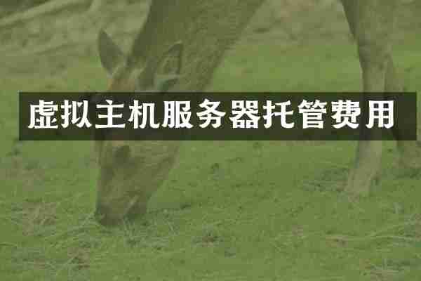 虚拟主机服务器托管费用
