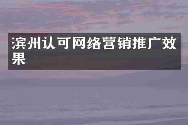 滨州认可网络营销推广效果