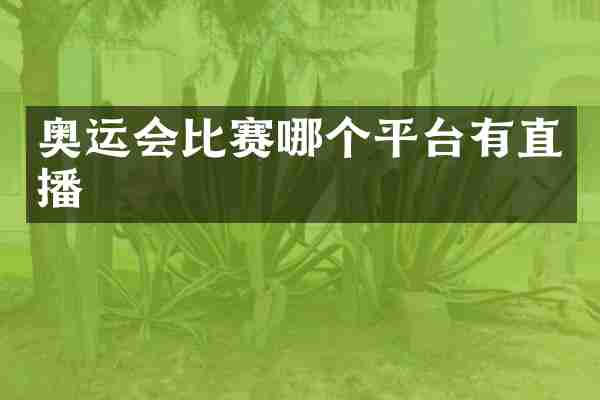 奥运会比赛哪个平台有直播