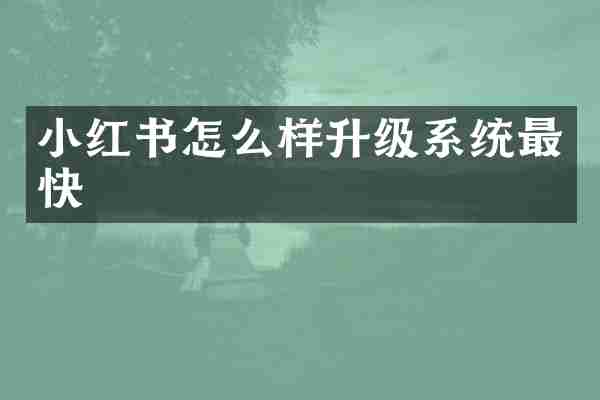 小红书怎么样升级系统最快