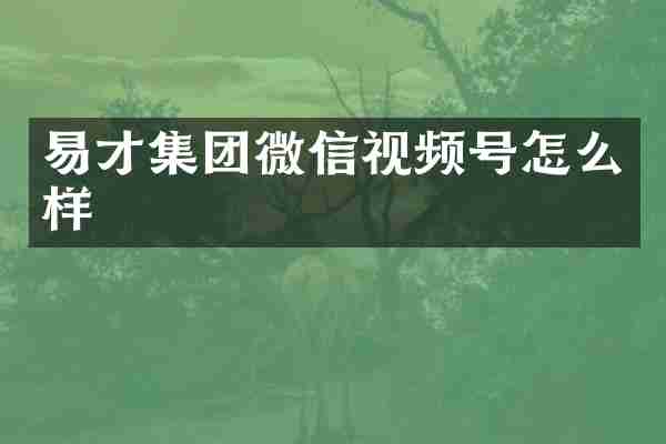 易才集团微信视频号怎么样