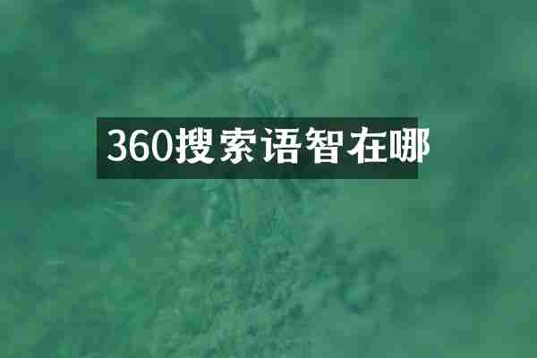 360搜索语智在哪