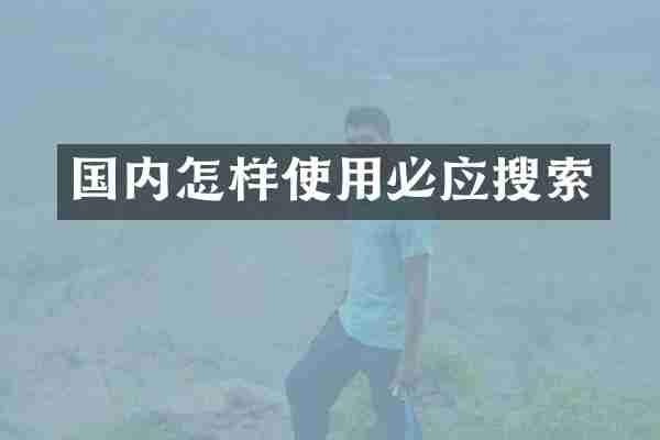 国内怎样使用必应搜索