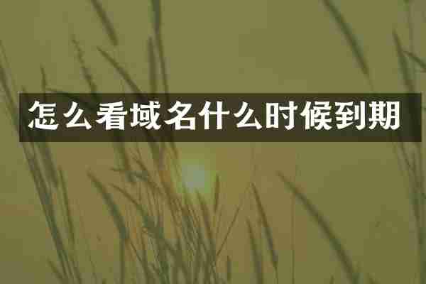 怎么看域名什么时候到期