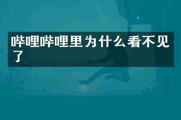 哔哩哔哩里为什么看不见了