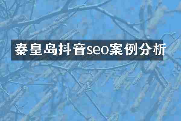秦皇岛抖音seo案例分析