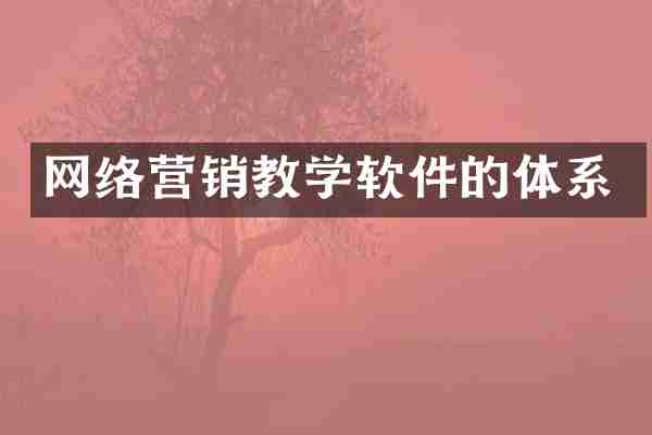 网络营销教学软件的体系