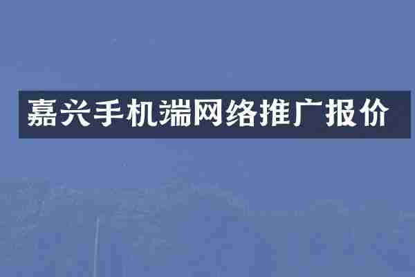 嘉兴手机端网络推广报价