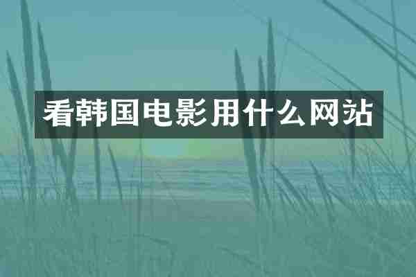 看韩国电影用什么网站