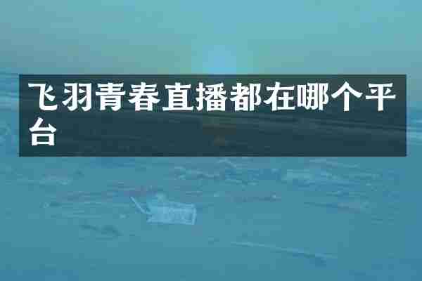 飞羽青春直播都在哪个平台