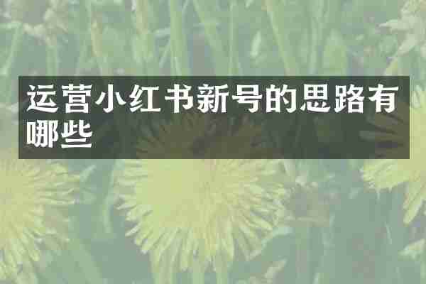 运营小红书新号的思路有哪些